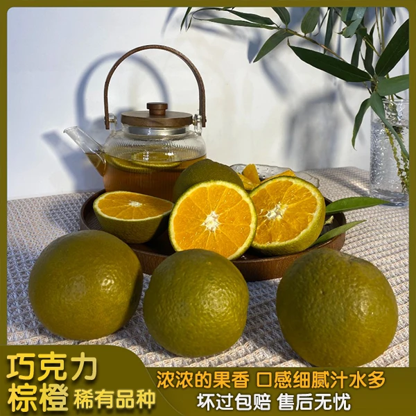 湖北秭归棕橙黑美人巧克力橙5斤/9斤/12枚礼盒稀有品种新鲜香甜