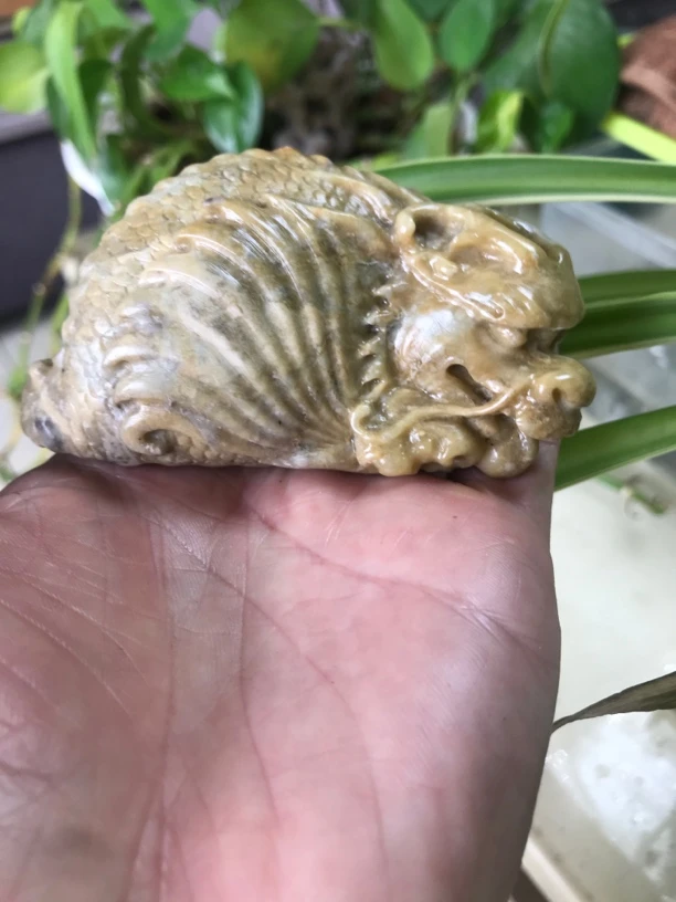 寿山老岭石．手件．鳌龙．微裂．需薄油保养．尺寸约84/33/41mm．