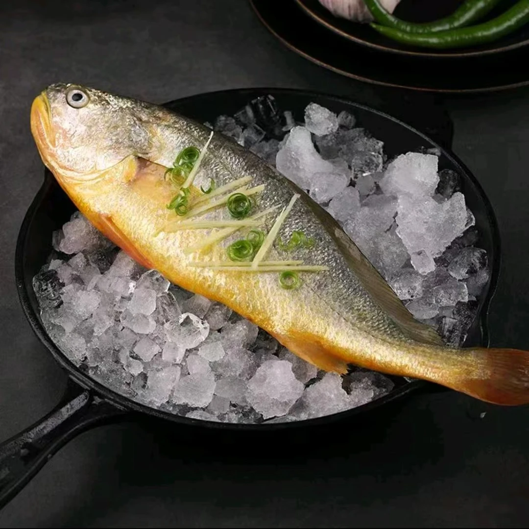 【黄花鱼】冰鲜黄花鱼1条（500g）