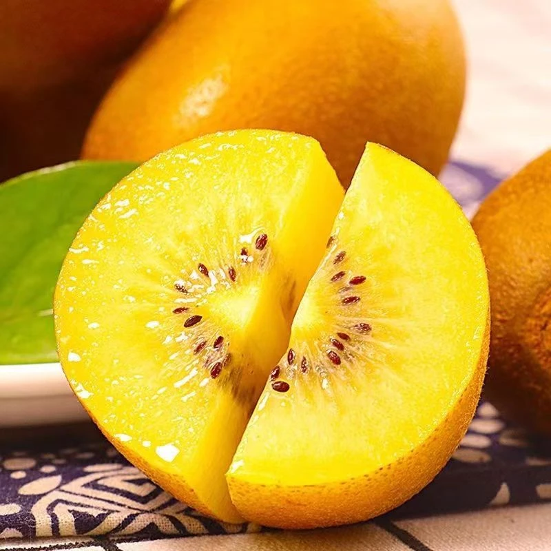 蒲江黄心猕猴桃金猕猴桃 G3奇异果香甜多汁8-16枚新鲜猕猴桃