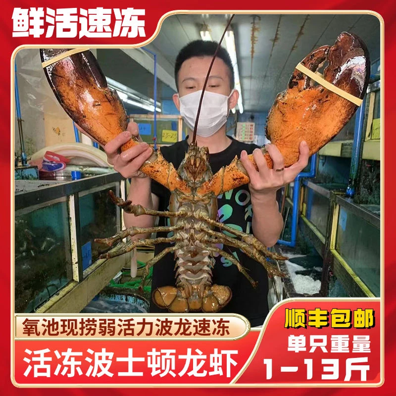 鲜冻波士顿龙虾生冻大龙虾2斤/5斤深海捕鱼 鲜嫩美味【顺丰空运】