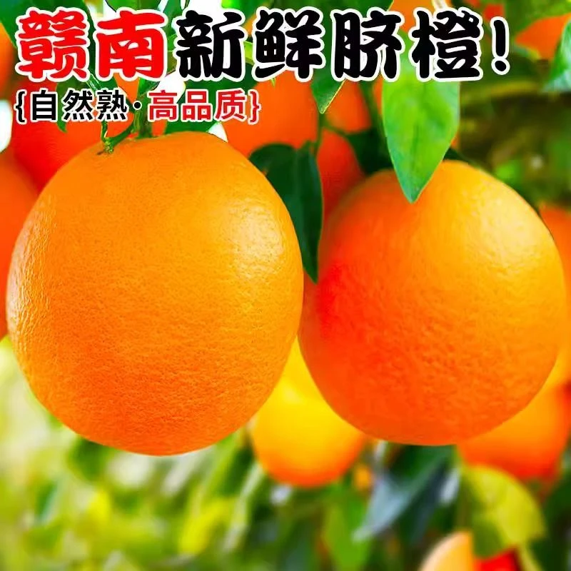 正宗赣南特早脐橙当季新鲜橙子皮薄多汁水果超甜榨汁果冻橙5/20斤