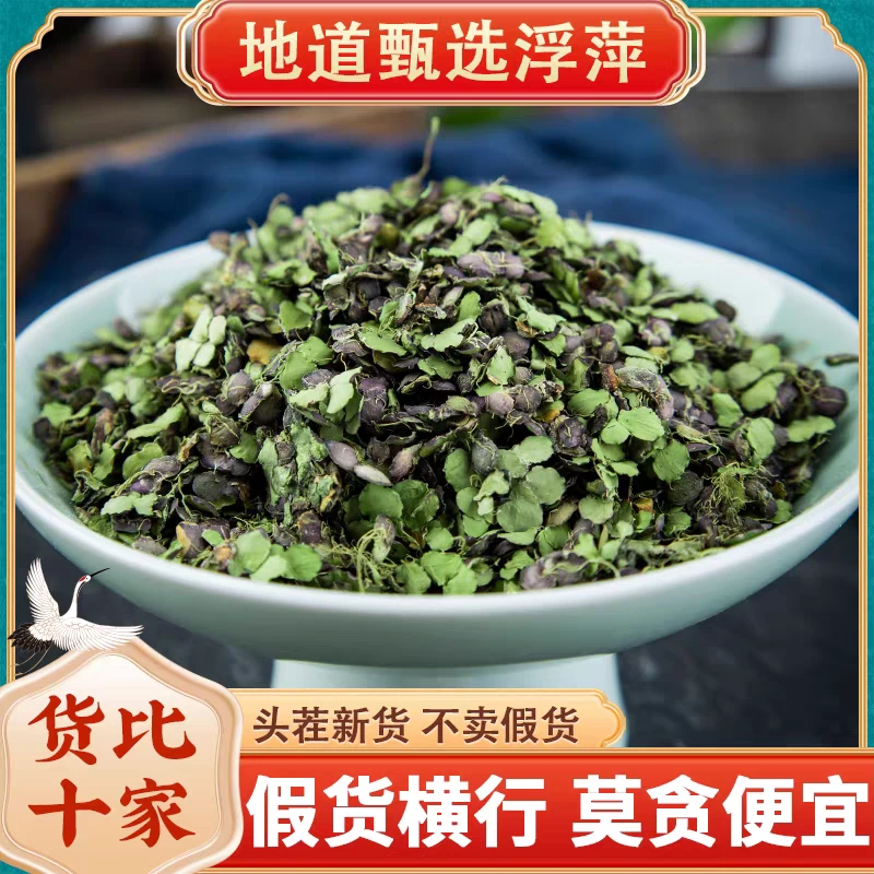 浮萍正宗道地紫背浮萍精选无硫搭配桑叶红花煮水泡水喝滋补养生