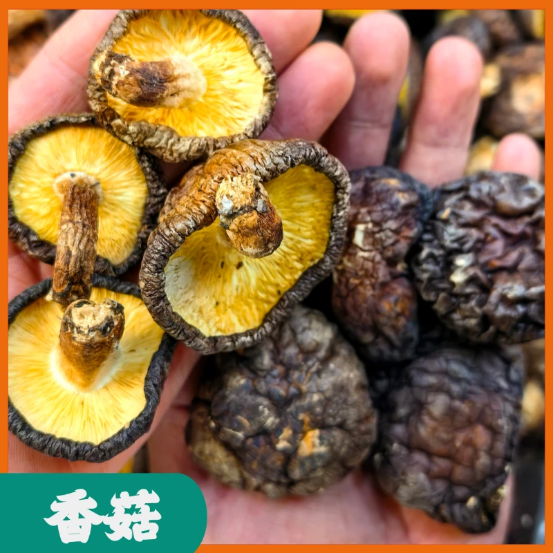 香菇 长白山香菇干货 无硫 肉厚 净含量250g/500g