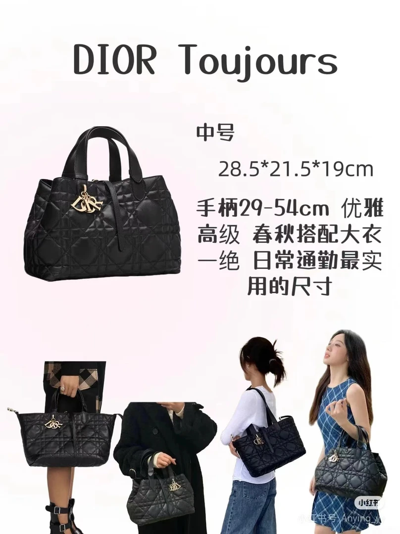 未使用 DIOR/迪奥  澳海贝/土著toujours中号