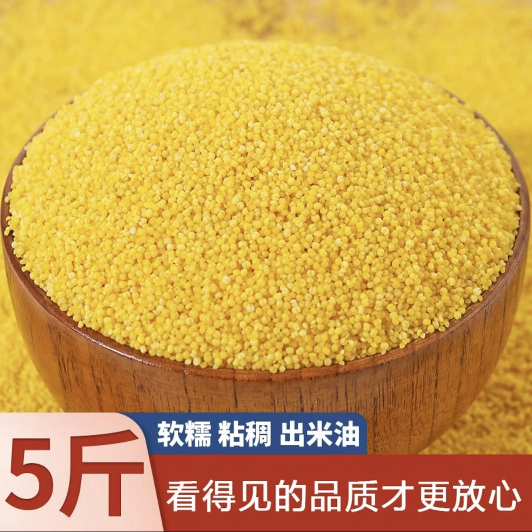 陕北特产  庞掌柜  农家营养香谷油小米   5斤装  包邮