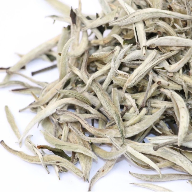 勐颖冰岛地界古树白毫银针鲜甜单罐120g单芽月光白云南白茶云白毫