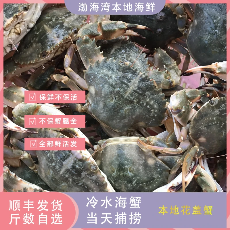 【保鲜不保活】中花盖蟹 3斤-5斤 以直播间为准 1两左右一个