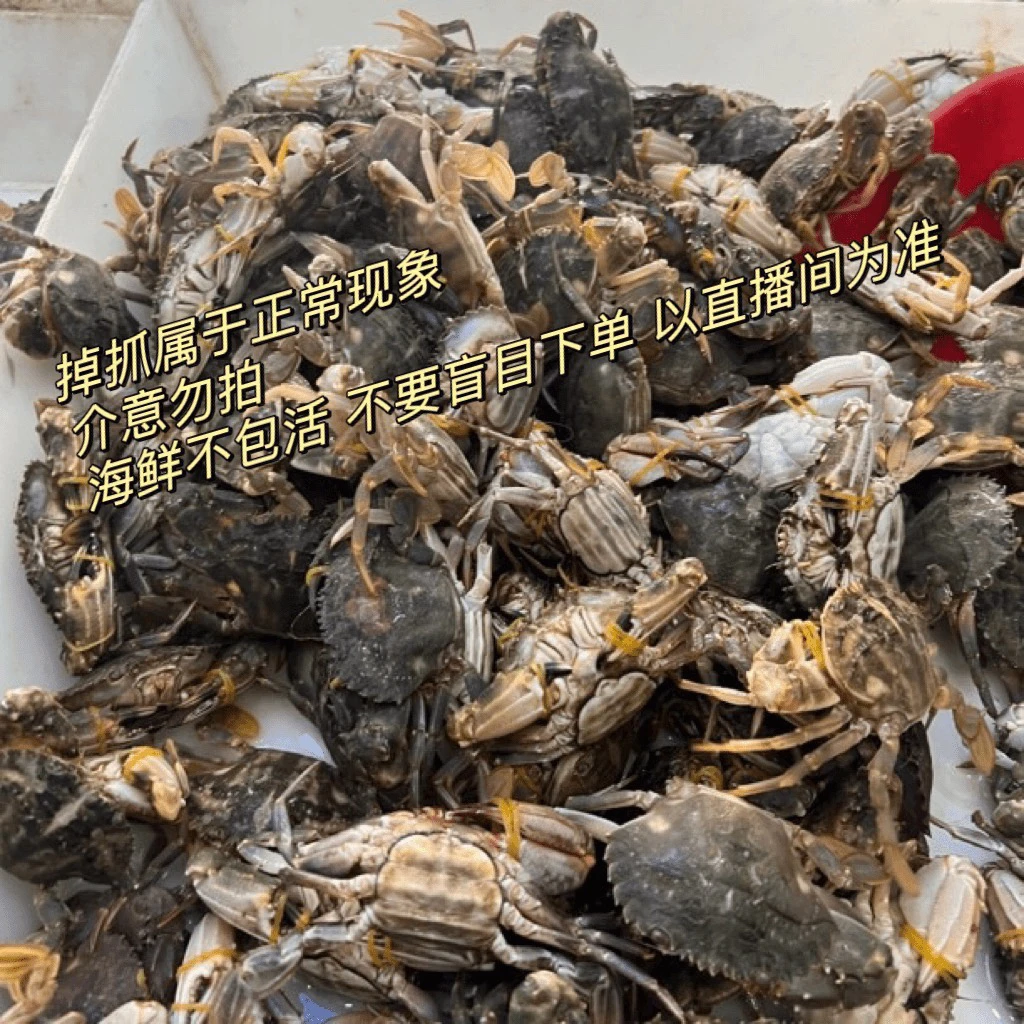 （保鲜不保活）中花盖蟹 3斤 一斤8个左右 介意皮筋勿拍