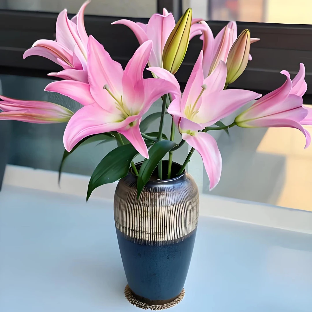 圆舞曲水生鲜切花东北发货顺丰包邮