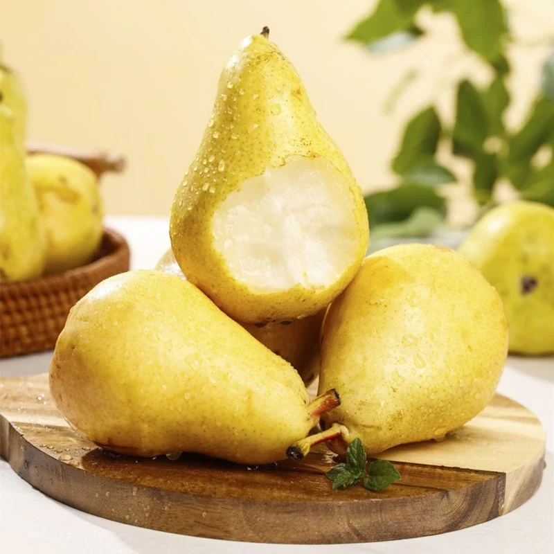 甘肃兰州巴梨太婆梨软梨茄梨香蕉梨新鲜水果特产5斤