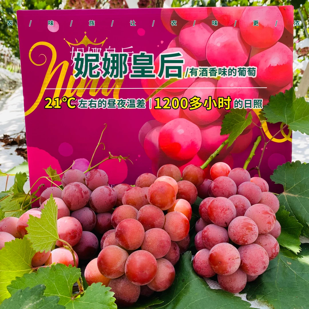 【顺丰空运】云南妮娜皇后葡萄孕妇当季新鲜水果纯甜2斤起礼盒装