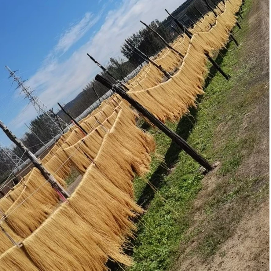 沂蒙山特产传统工艺红薯粉条无胶五斤支持试吃