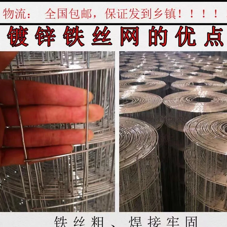 镀锌铁丝网低碳钢丝网玉米网地面防裂网长孔网防护围栏网