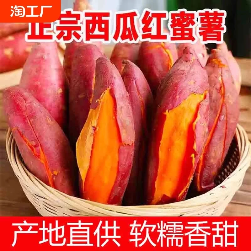 正宗河南开封西瓜红蜜薯5斤装