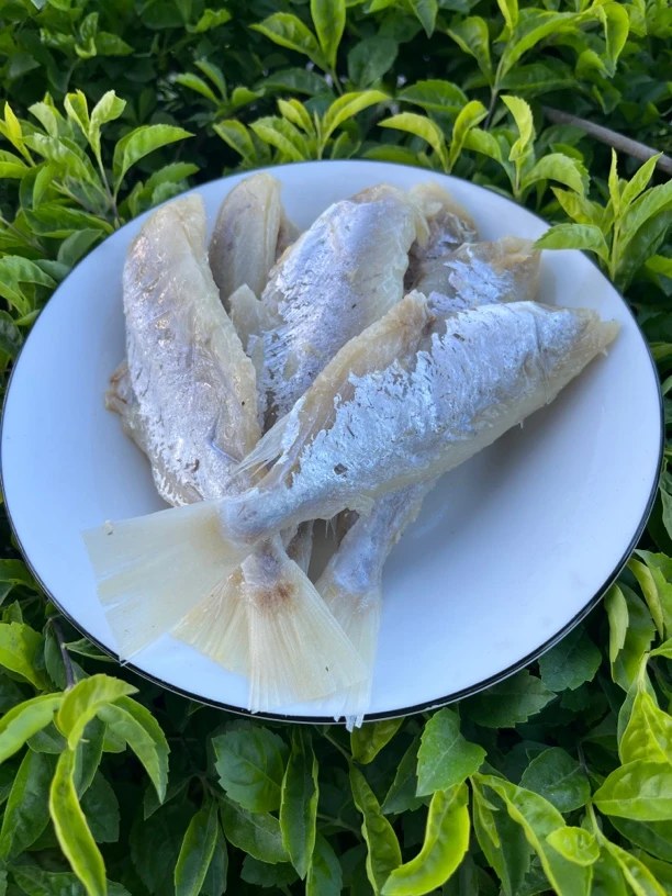鱼干咸鱼干海莲鱼干海鱼剥皮鱼扒皮鱼无头鱼咸鱼干货