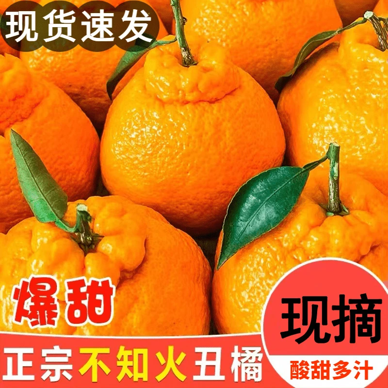 【特价丑橘】正宗四川不知火丑橘新鲜当季现摘孕妇水果丑橘不知火5