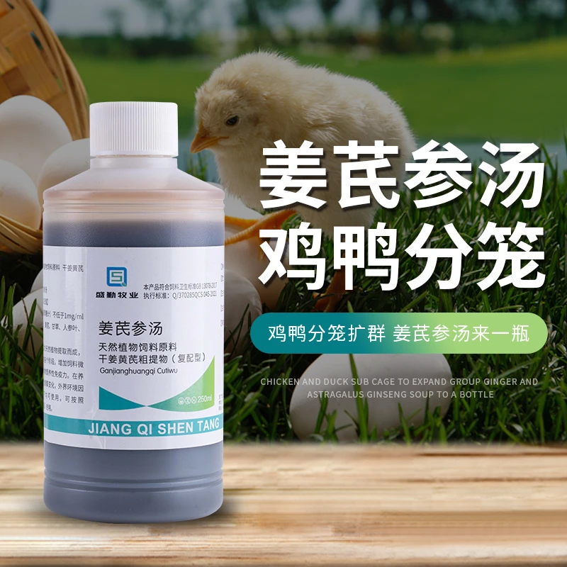 姜芪参汤兽用育雏鸡鸭鹅分笼补热养殖常备饲料