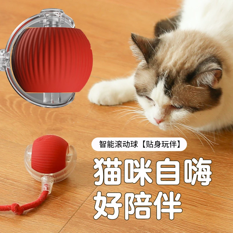 【5分钟自动待机】突突球猫咪玩具球自动逗猫球 猫咪自嗨玩具电动im