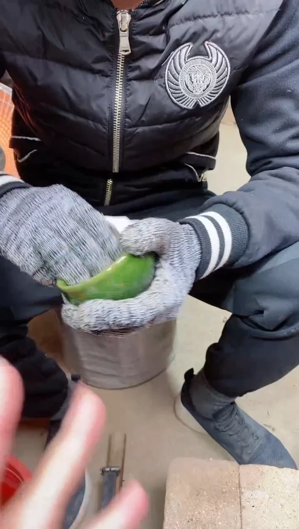 【闪购商品】瓷茶盏翡翠绿将军