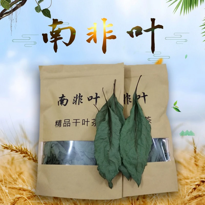 南非叶正宗南非叶干叶野生药王将军叶干叶精选苦叶100g-500g散装