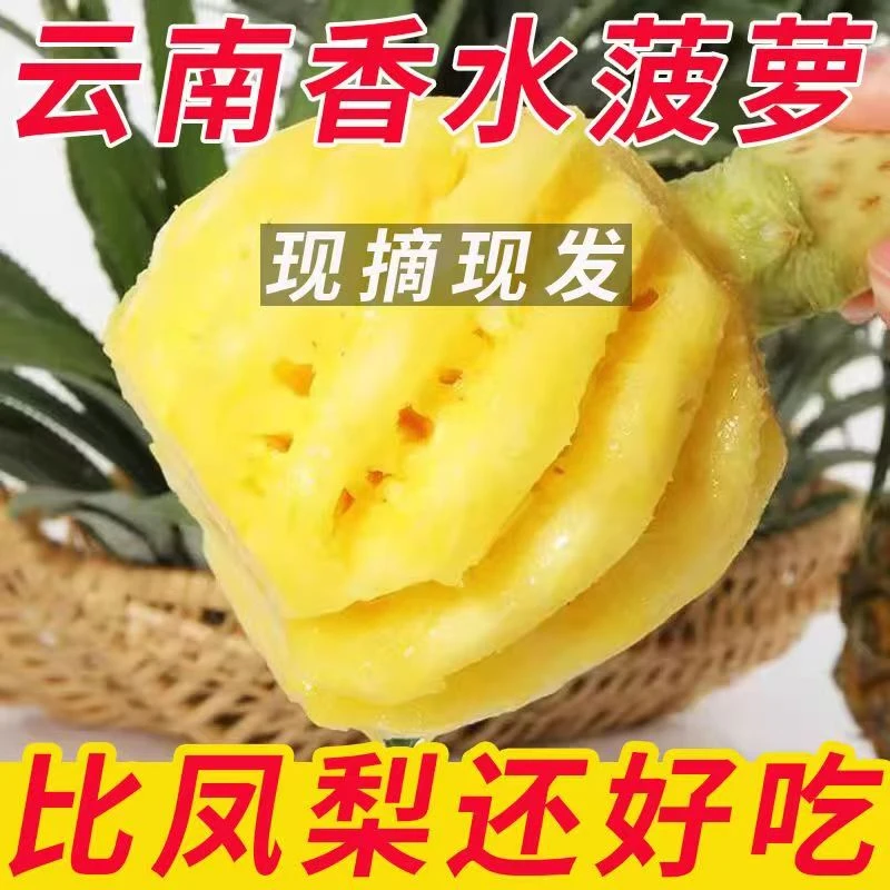 云南香水小菠萝净重3斤装【建议放黄吃更香】坏果包赔【带皮发货】