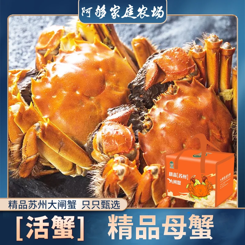 阿够家庭农场【精品活蟹】阿够家庭农场精品全母2.3两8-10只装 顺丰