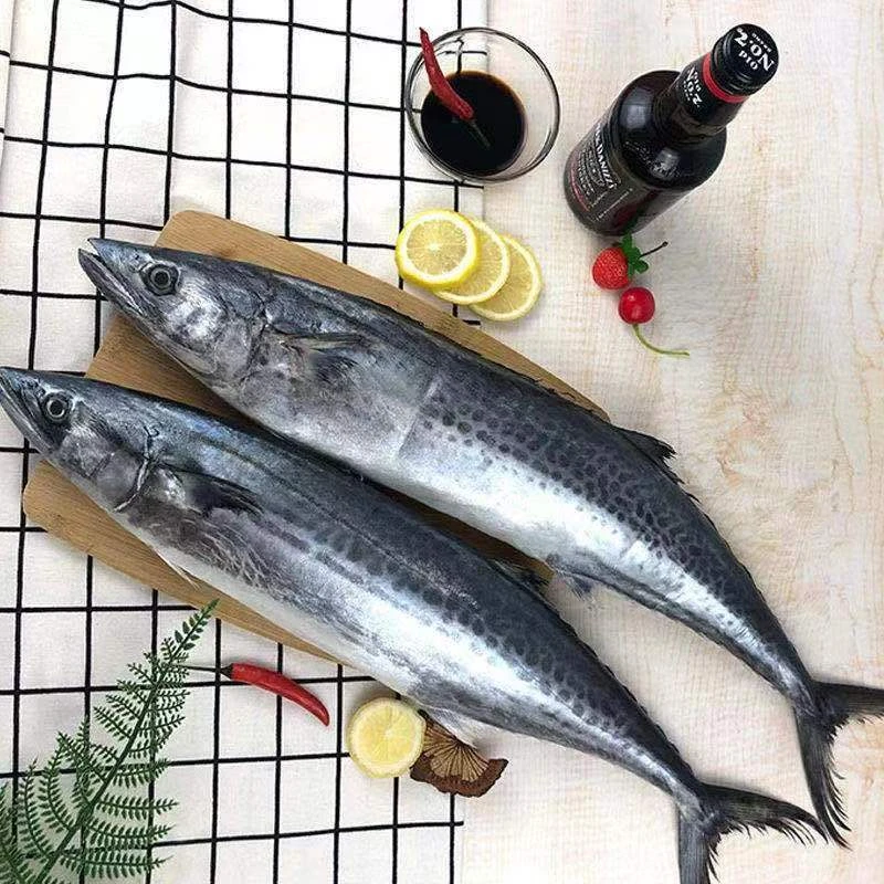 连云港  新鲜 海捕马鲛鱼  500g起