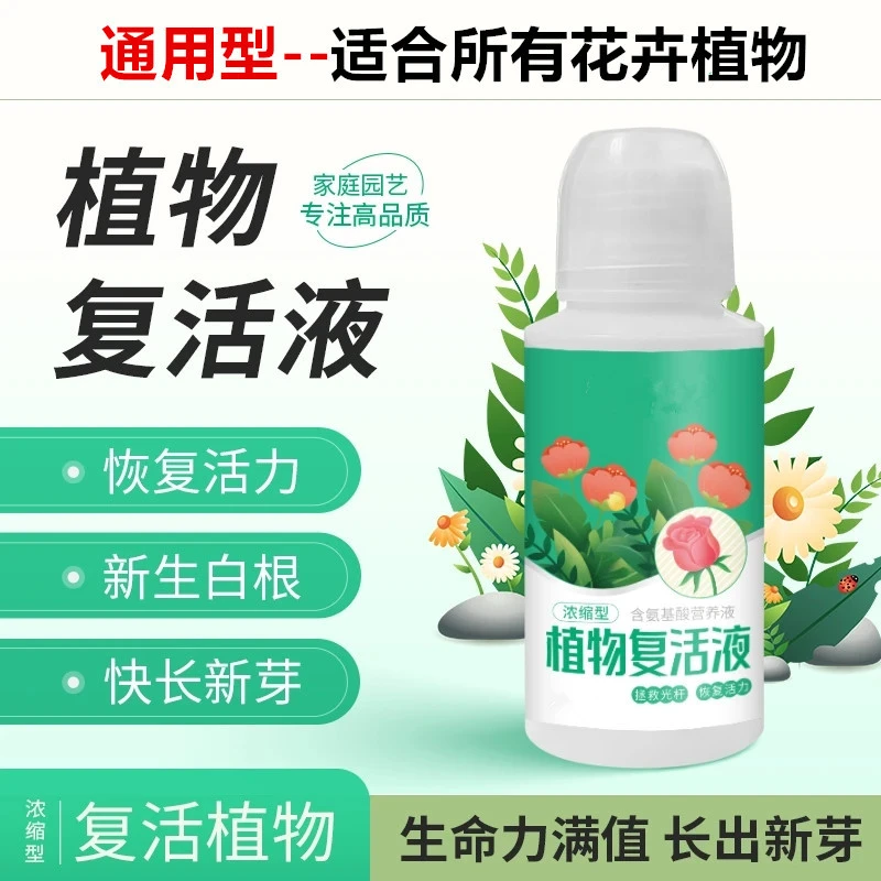 沃丞相通用型植物复活液针对光杆植物发黄掉叶生长素快速增强活性