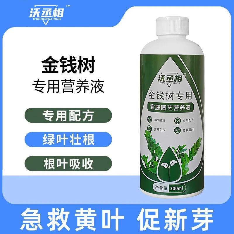沃丞相【金钱树专用】金钱树专用营养液土培花草营养液专业配方生