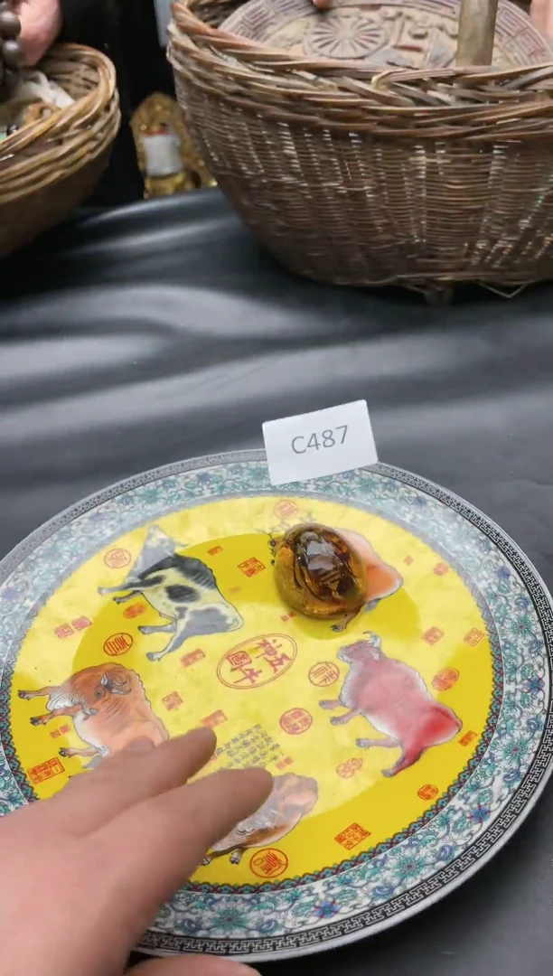 【闪购商品】66666