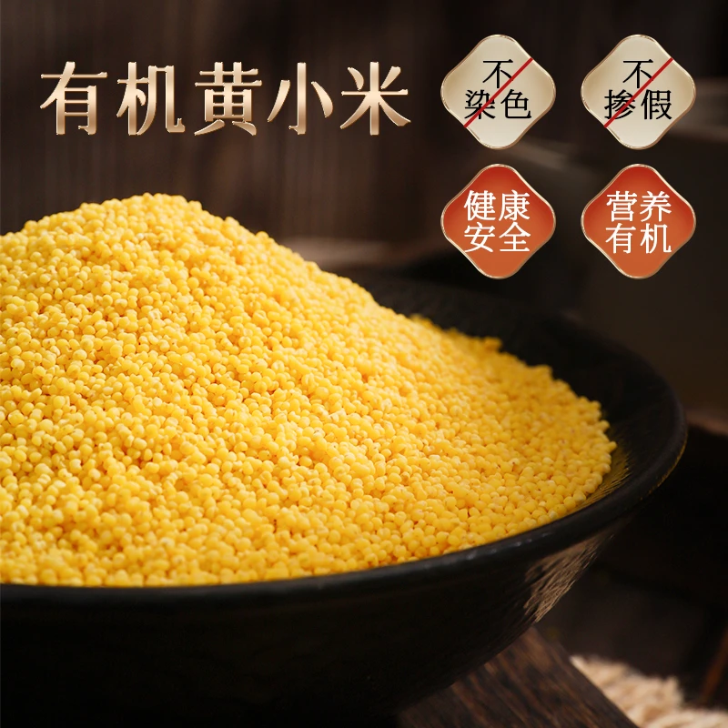 青山农场有机黄小米粥营养粘稠香糯金黄新米颗粒小米杂粮养胃500g