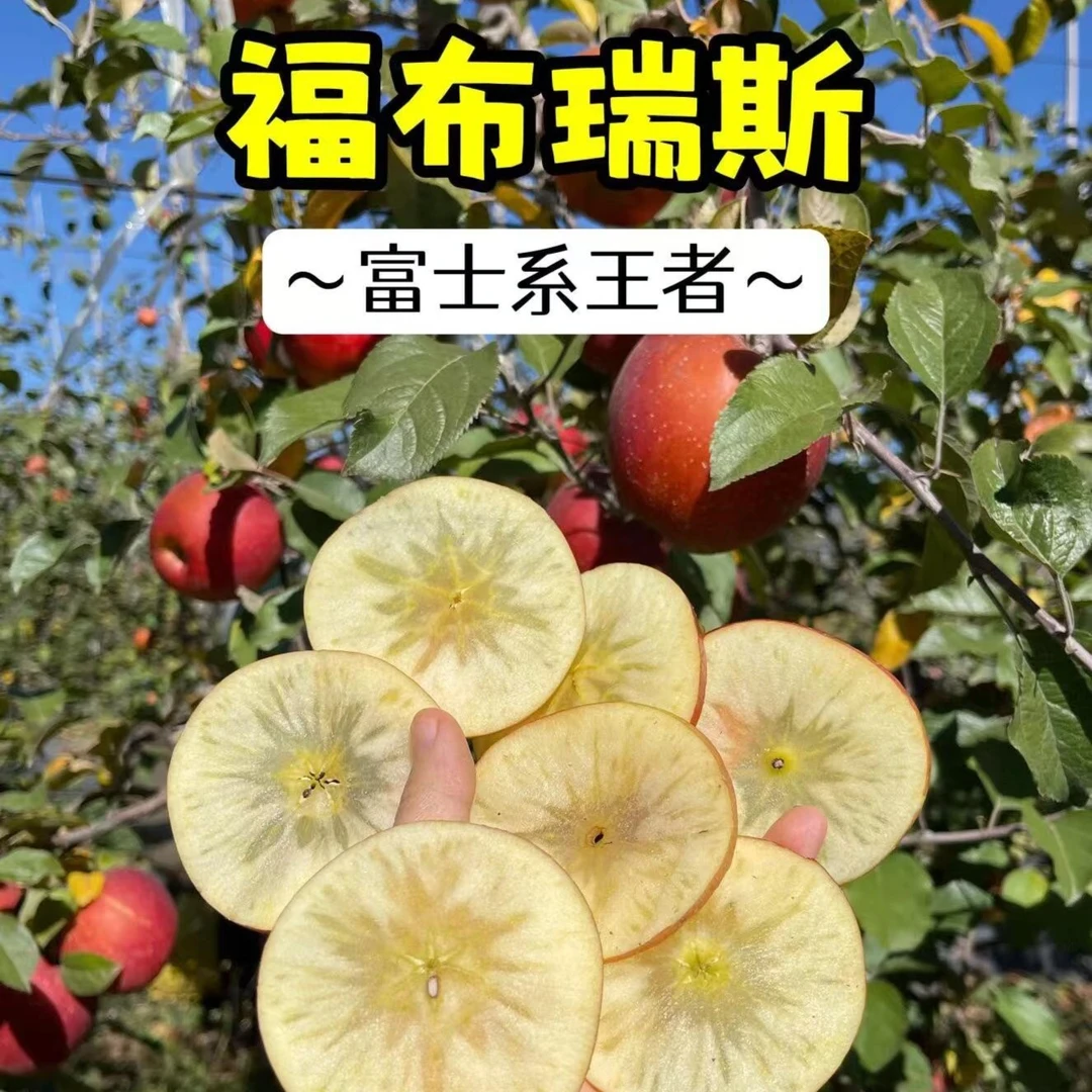京东包邮次日达-来自雪山的福布瑞斯苹果【净重三斤】礼盒9个装