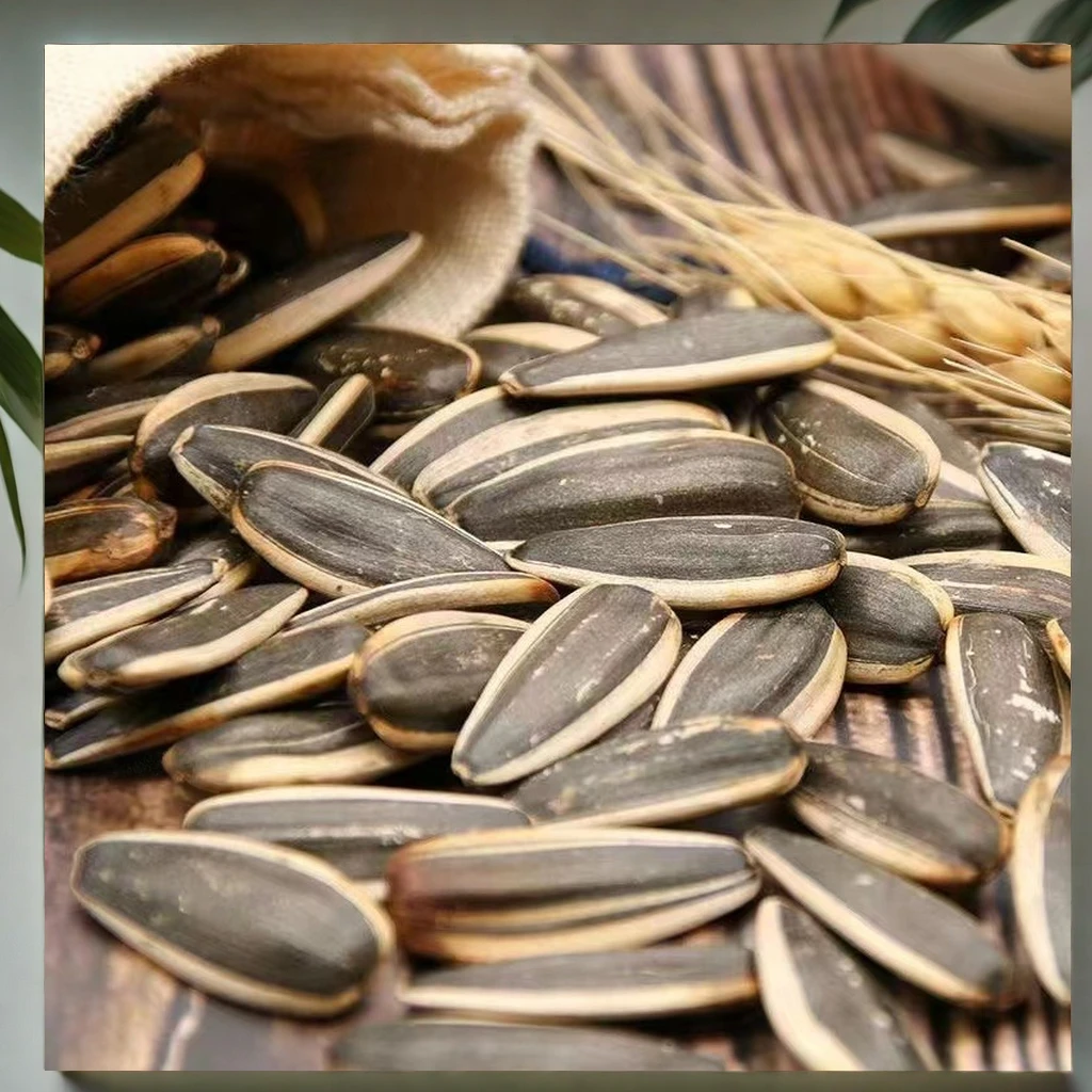 休闲原味坚果新鲜正宗批发内蒙大颗粒新货葵花籽内蒙团购厂家直销