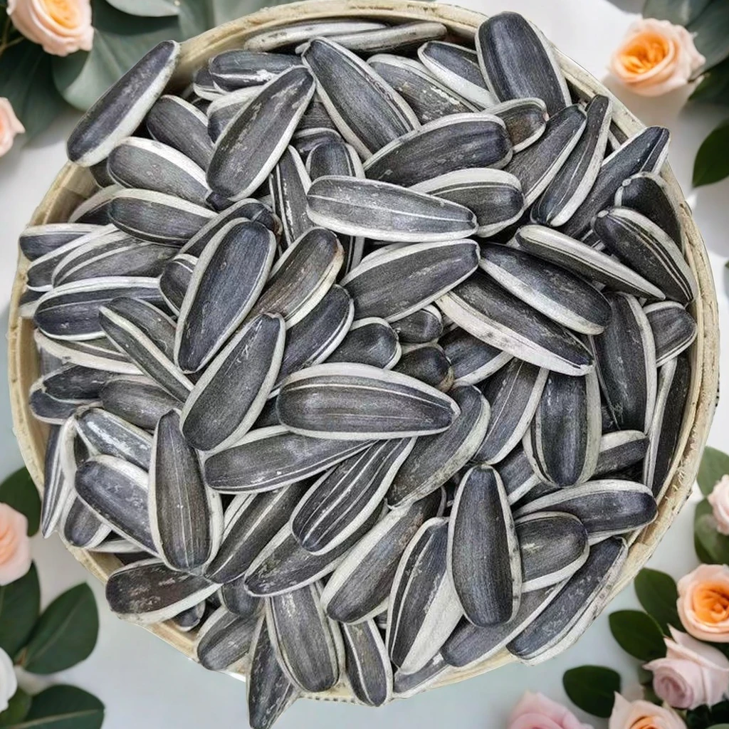 休闲内蒙团购特大内蒙批发正宗原味新鲜葵花籽大颗粒新货厂家直销