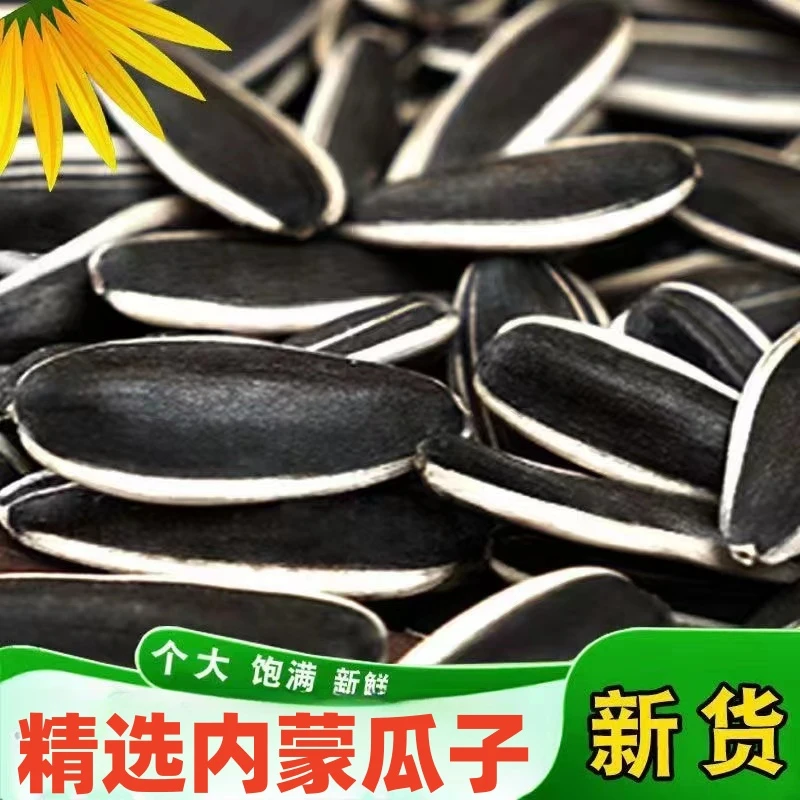 内蒙特大葵花厂家直销生熟团购坚果原味正宗新货大颗粒五香批发