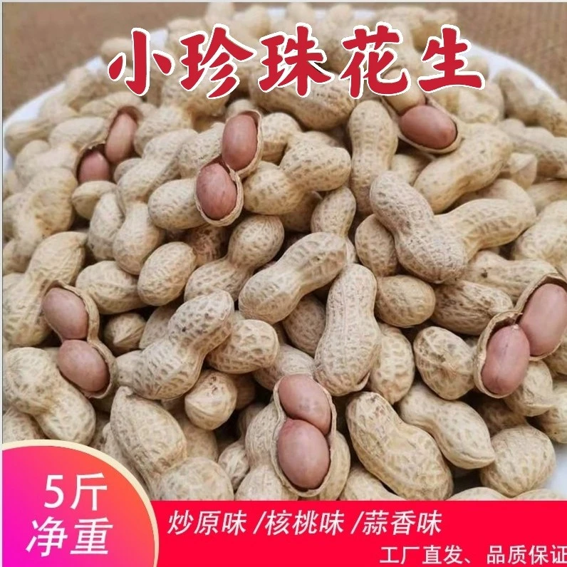 小珍珠花生核桃蒜香五香味带皮包装休闲小零食