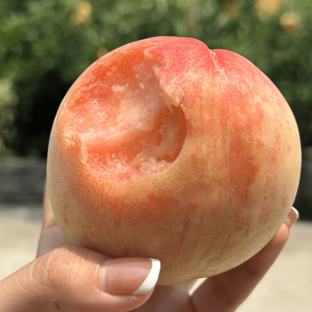 【2粒盒装】正宗阳山水蜜桃2粒装（单果230g-300g）