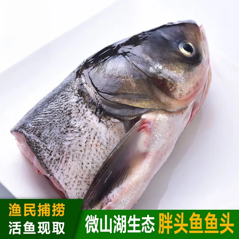 微山湖胖头鱼生态淡水鱼头新鲜现杀花鲢鱼头剁椒鱼头单独鱼头生鲜