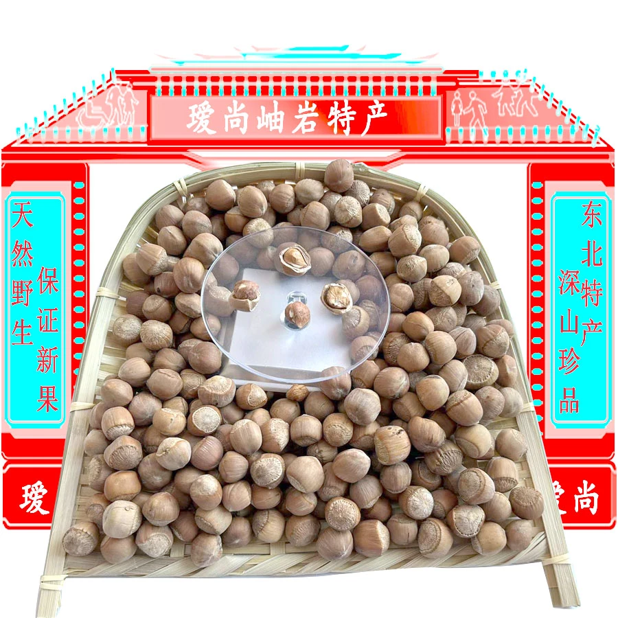 东北特产野生小榛子天然野生500克1斤装赠送开口器