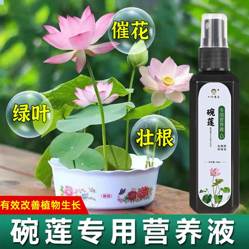 【厂家直销拍1单发3瓶】碗莲营养液促发芽生长开花专治叶子变软倒伏