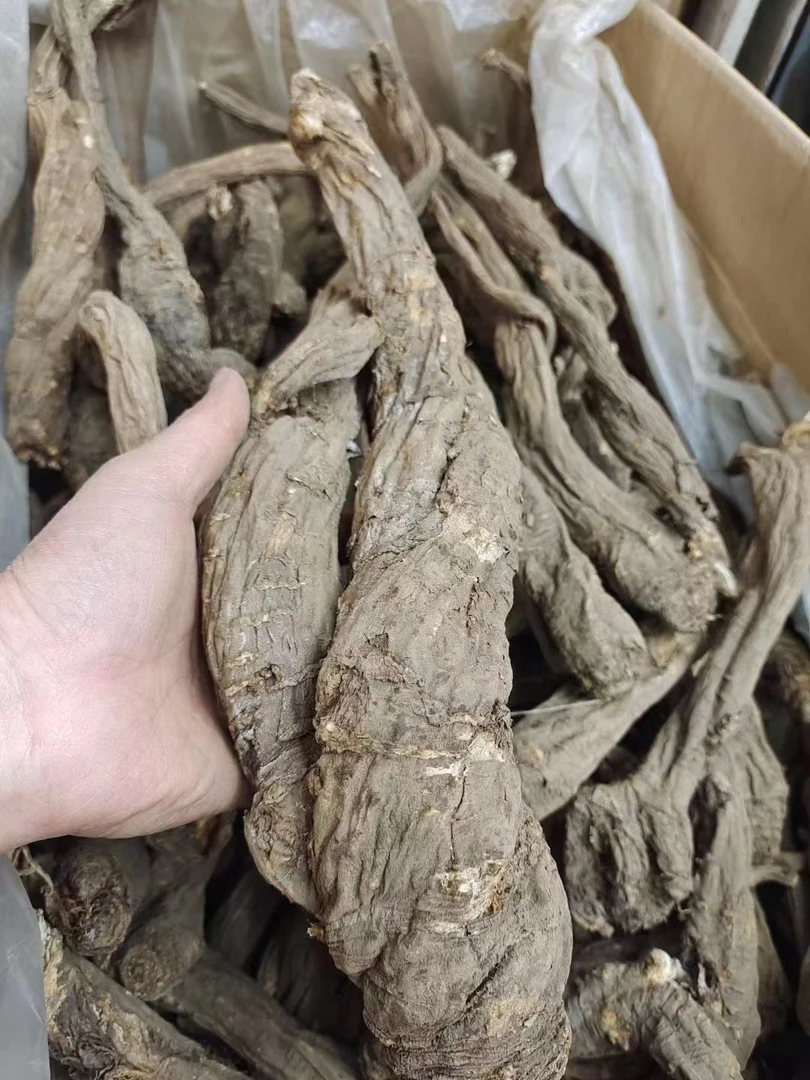 林姑娘专属-西藏特大当贵100克