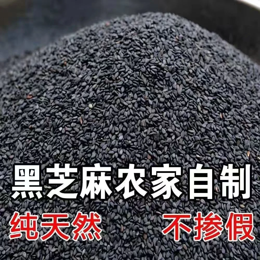 当季黑芝麻 自然晾晒  无添加 500g