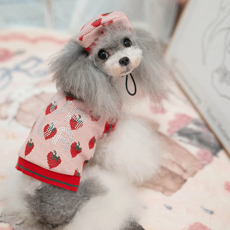 淘淘花瓣草莓烫钻情侣毛衣套装狗狗衣服秋冬装圣诞裙泰迪比熊冬装