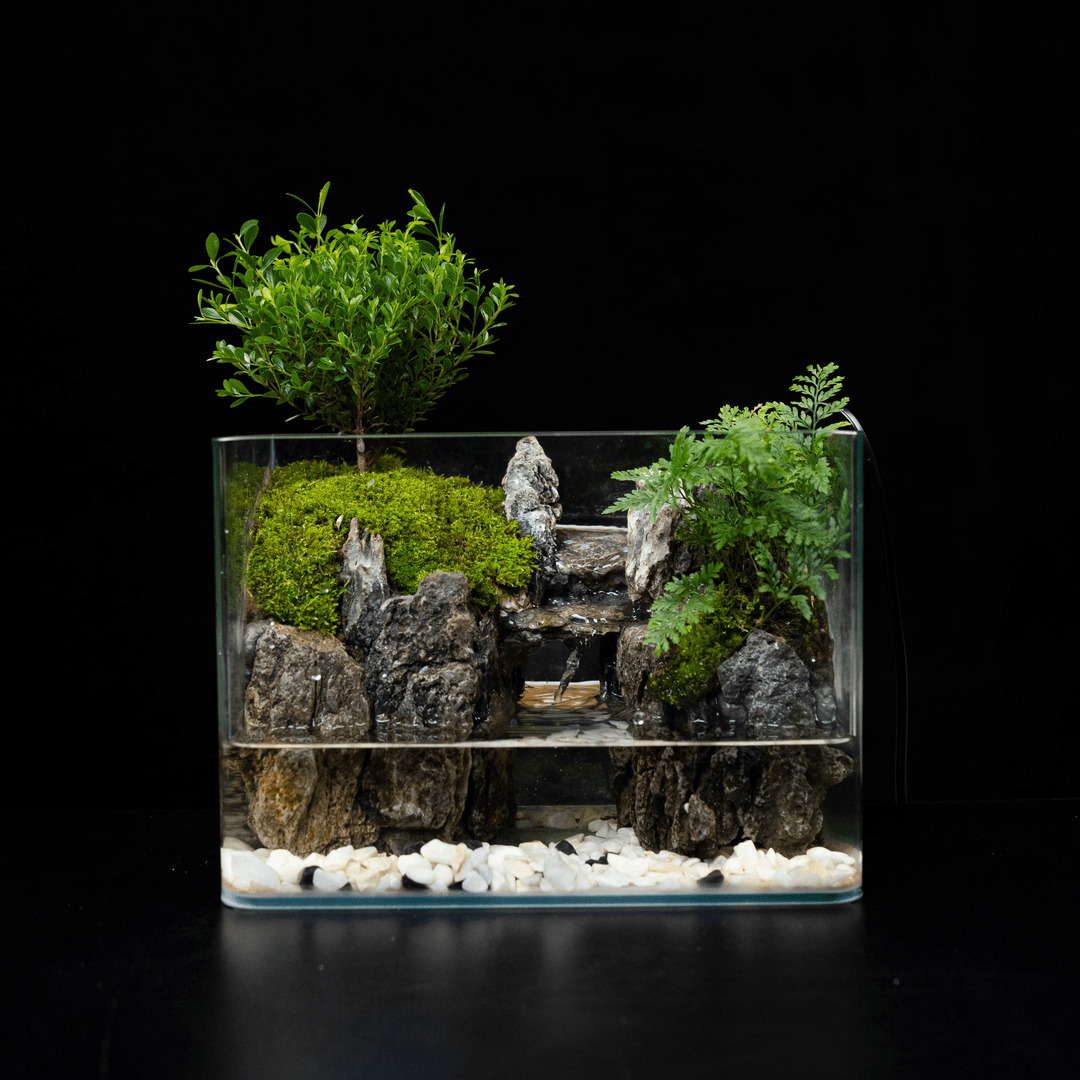 【爆款】高山流水—小叶赤楠成品桌面绿植微景观尺寸25*16*18cm