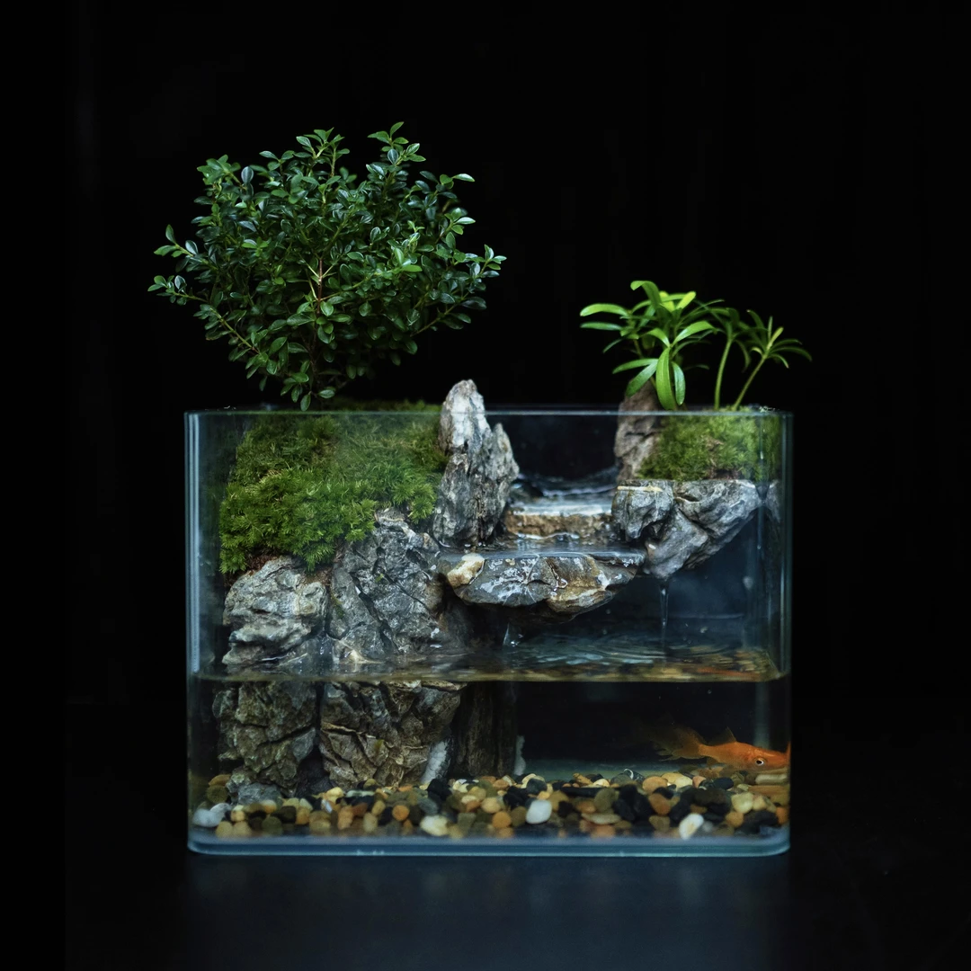 【小月亮】平川-小叶赤楠青龙石成品桌面绿植微景观尺寸25＊16＊18cm
