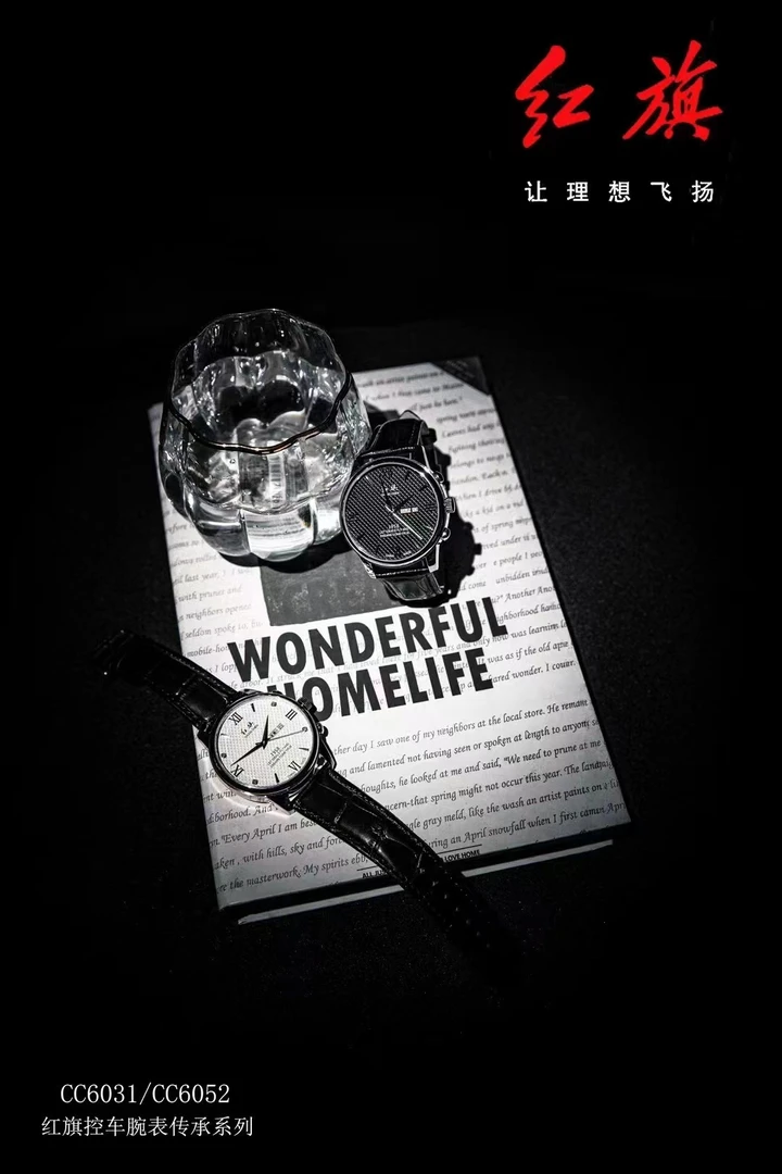 适用18-24款红旗H5H6H9HS3HS5HS7全系红旗车通用红旗控车穿戴设备