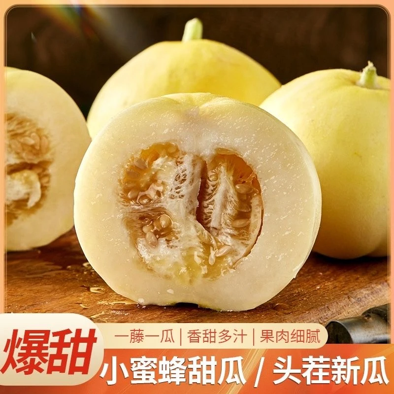 【头茬新瓜】正宗山东小蜜蜂甜瓜 薄皮脆瓜果园现摘现发 3/5斤