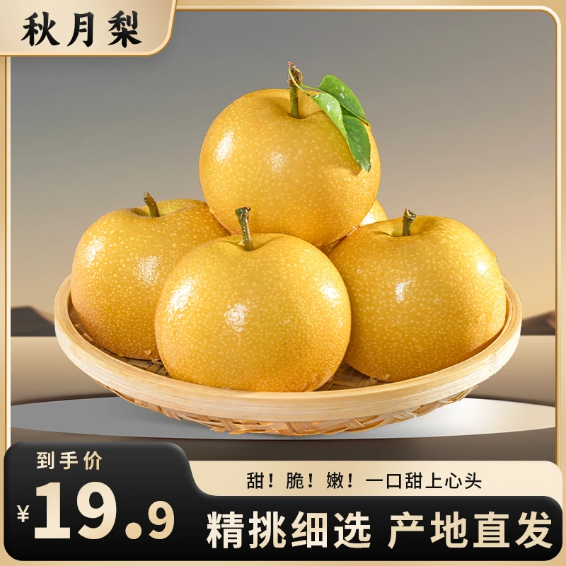 莱阳秋月梨子香甜爆汁4-4.5斤产地果园直发精选水果SXMGDD001