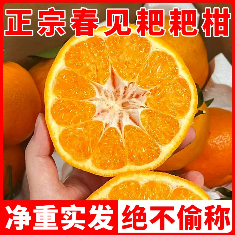 【东方薽选】四川春见耙耙柑10斤新鲜丑八怪粑粑柑橘特级水果5-8斤